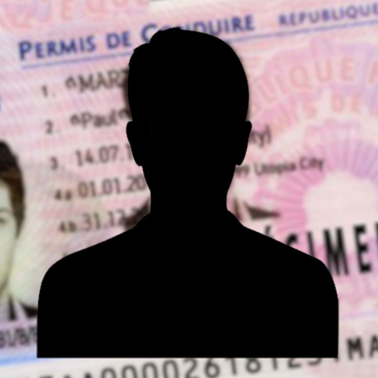 Photo permis de conduire
