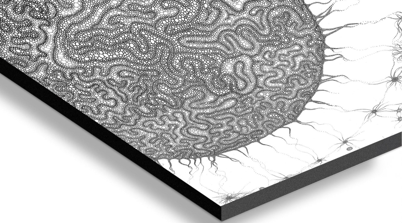 Contrecollage Forex 5 mm