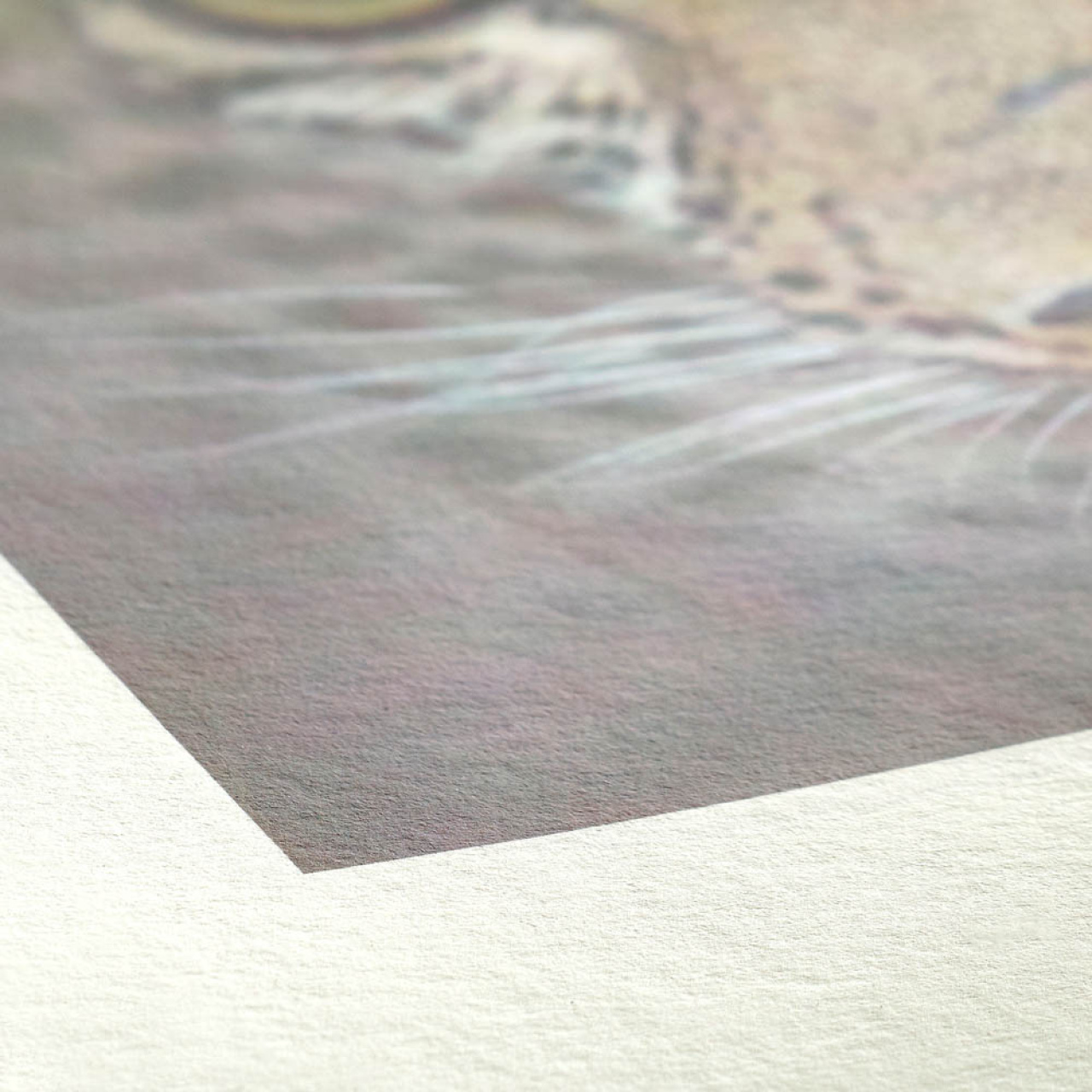 Hahnemuhle Bamboo 290