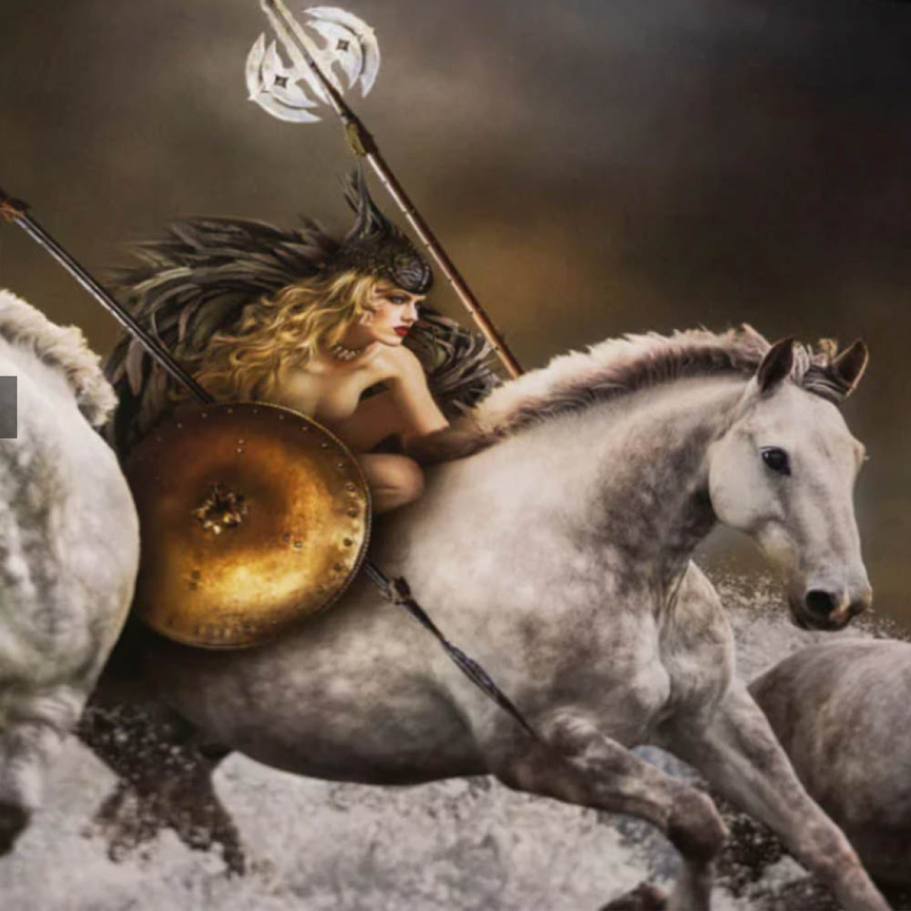 Permajet Omega Rag 310