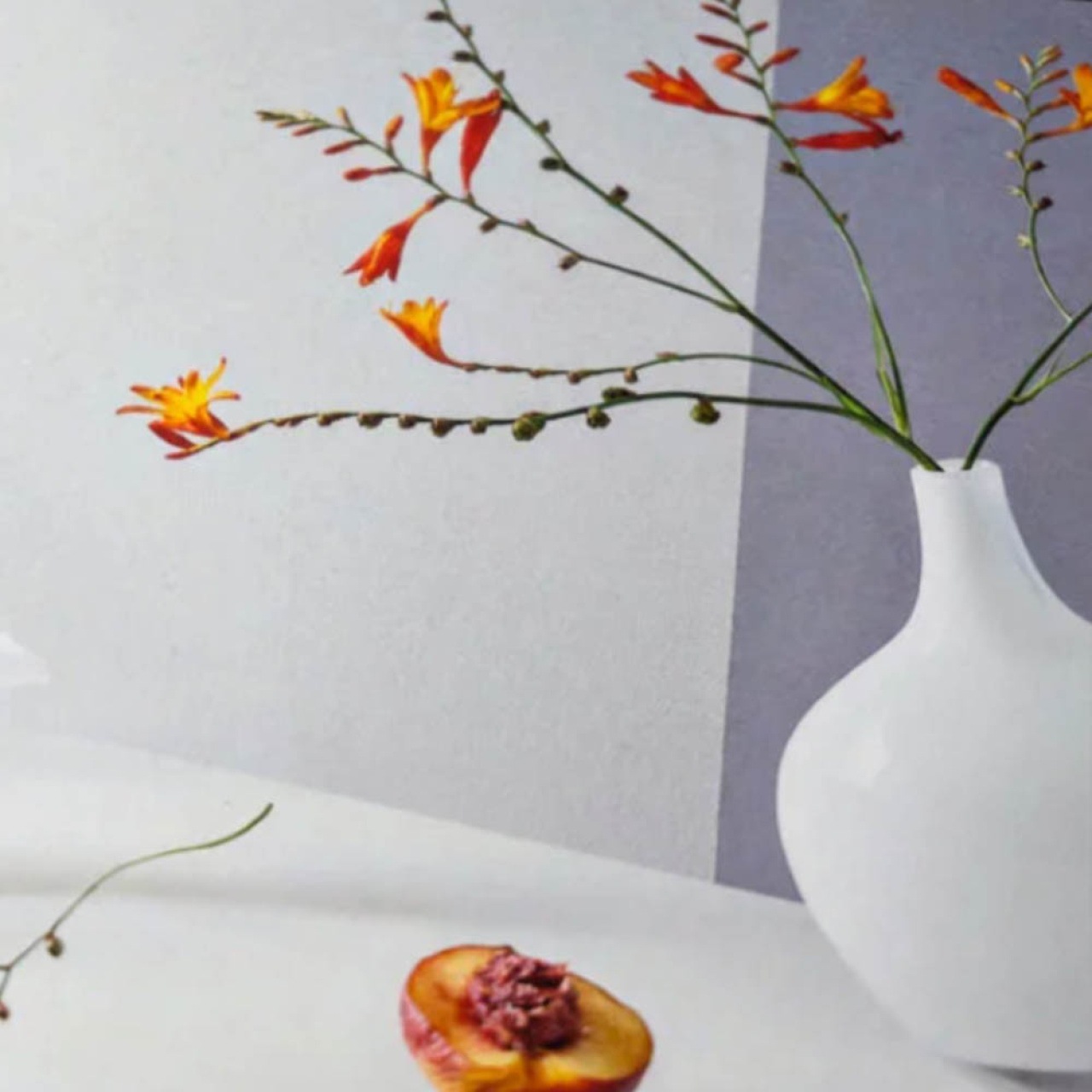 Permajet Alpha Natural Rag 310